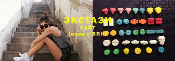 индика Сосновоборск