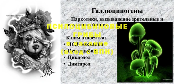 бошки Алзамай