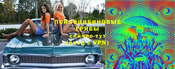 стафф Алексеевка
