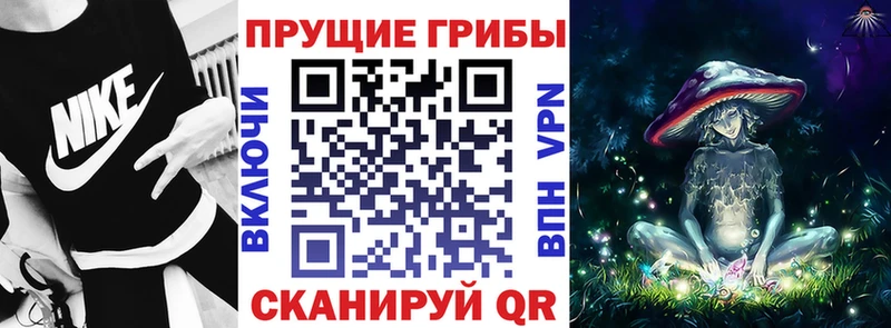 Псилоцибиновые грибы мухоморы ОМГ ОМГ tor маркетплейс формула Кашин